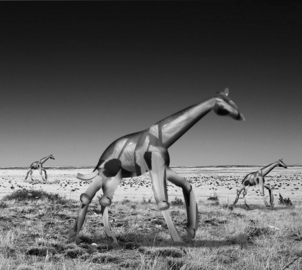 Creation of Meanwhile in the Desert: Step 9